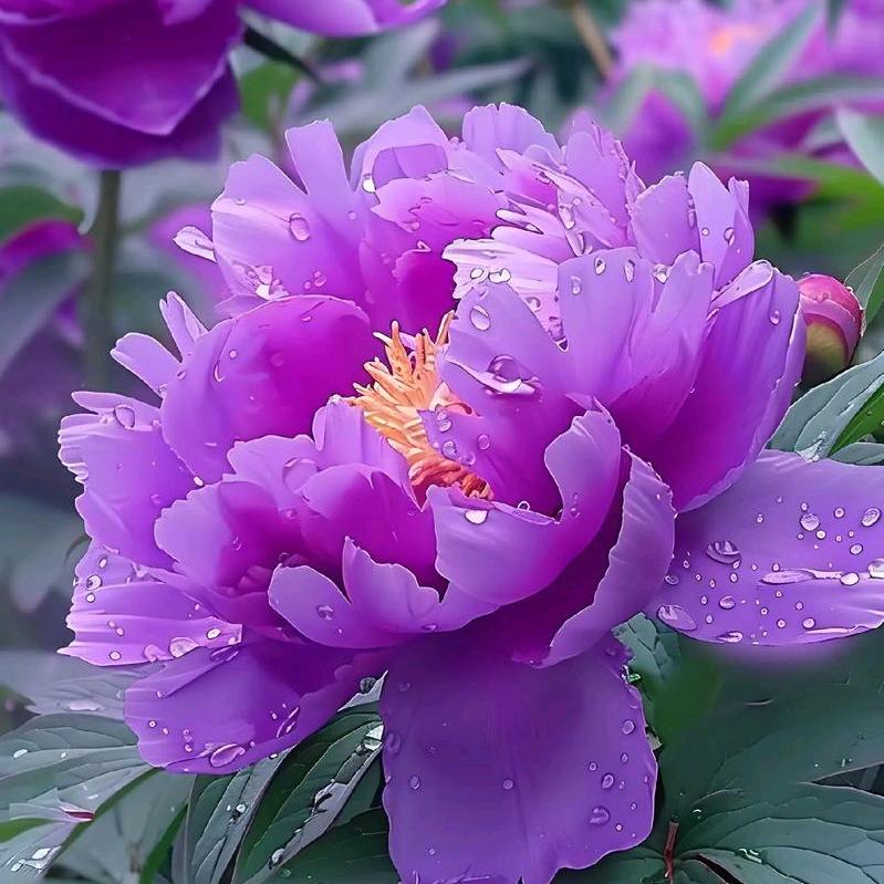 好运连连👍👍