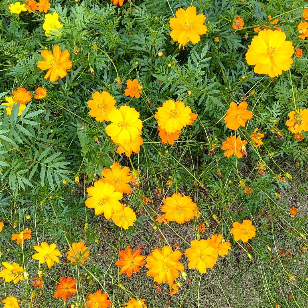 ꧔ꦿ: ృ༊七秒记憶: এ᭄