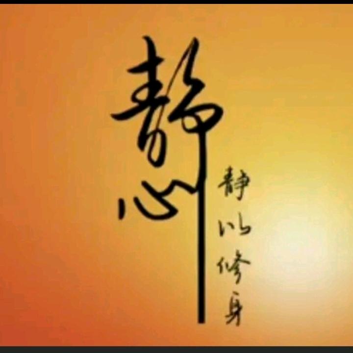 🪷静心🪷
