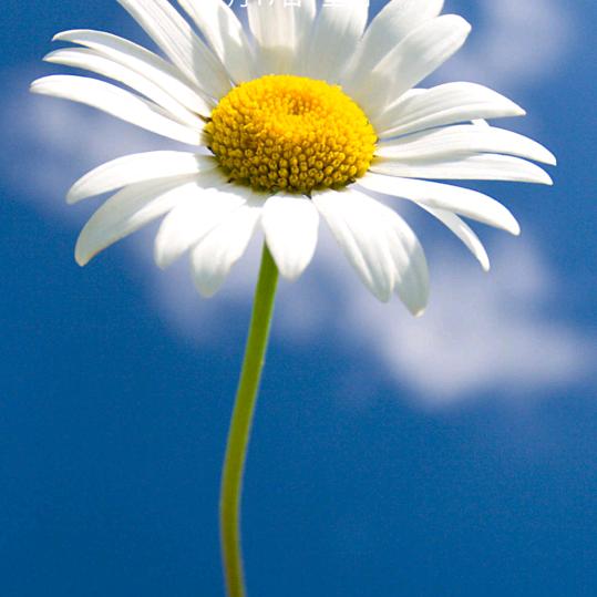 健康生活每一天