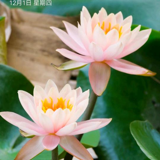 用户1645084008124