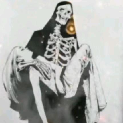 云南杨梅