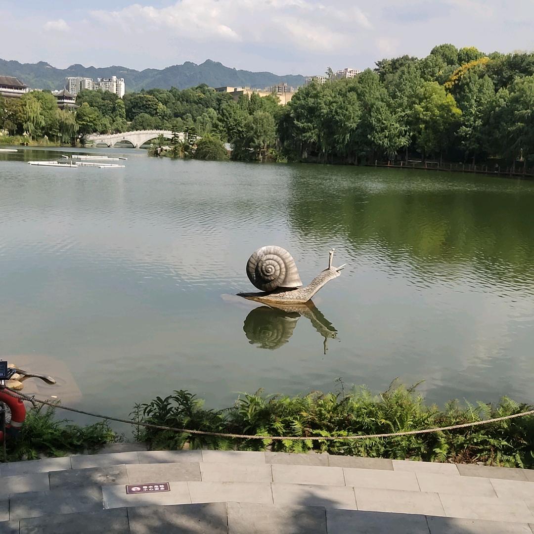心若向阳