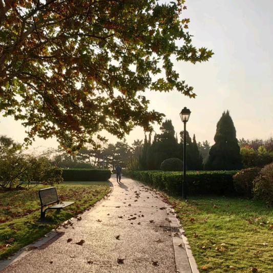 威海创业的老青年