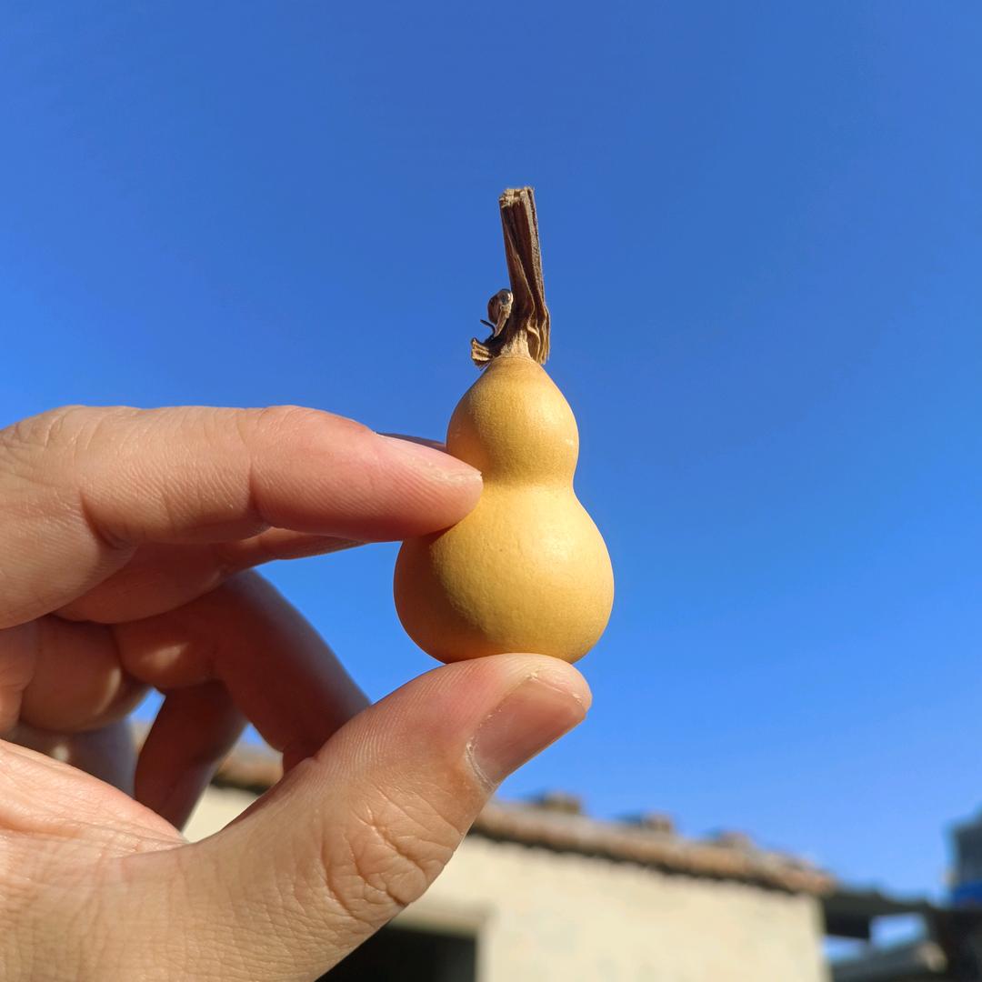 撅腚放屁不能生气