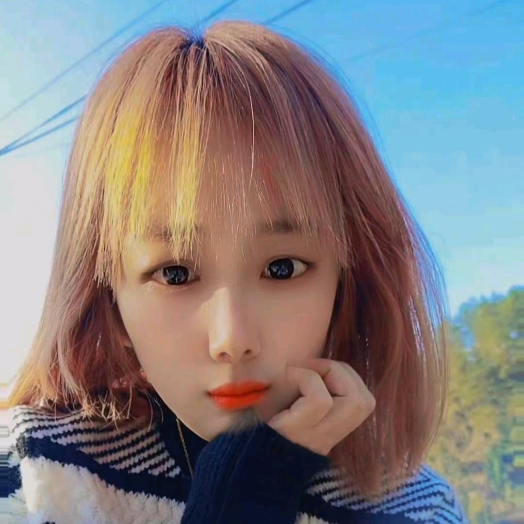 俏伊女