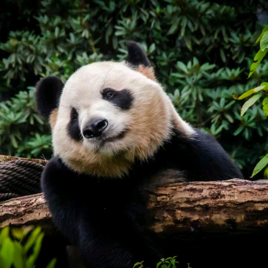 行走在云间