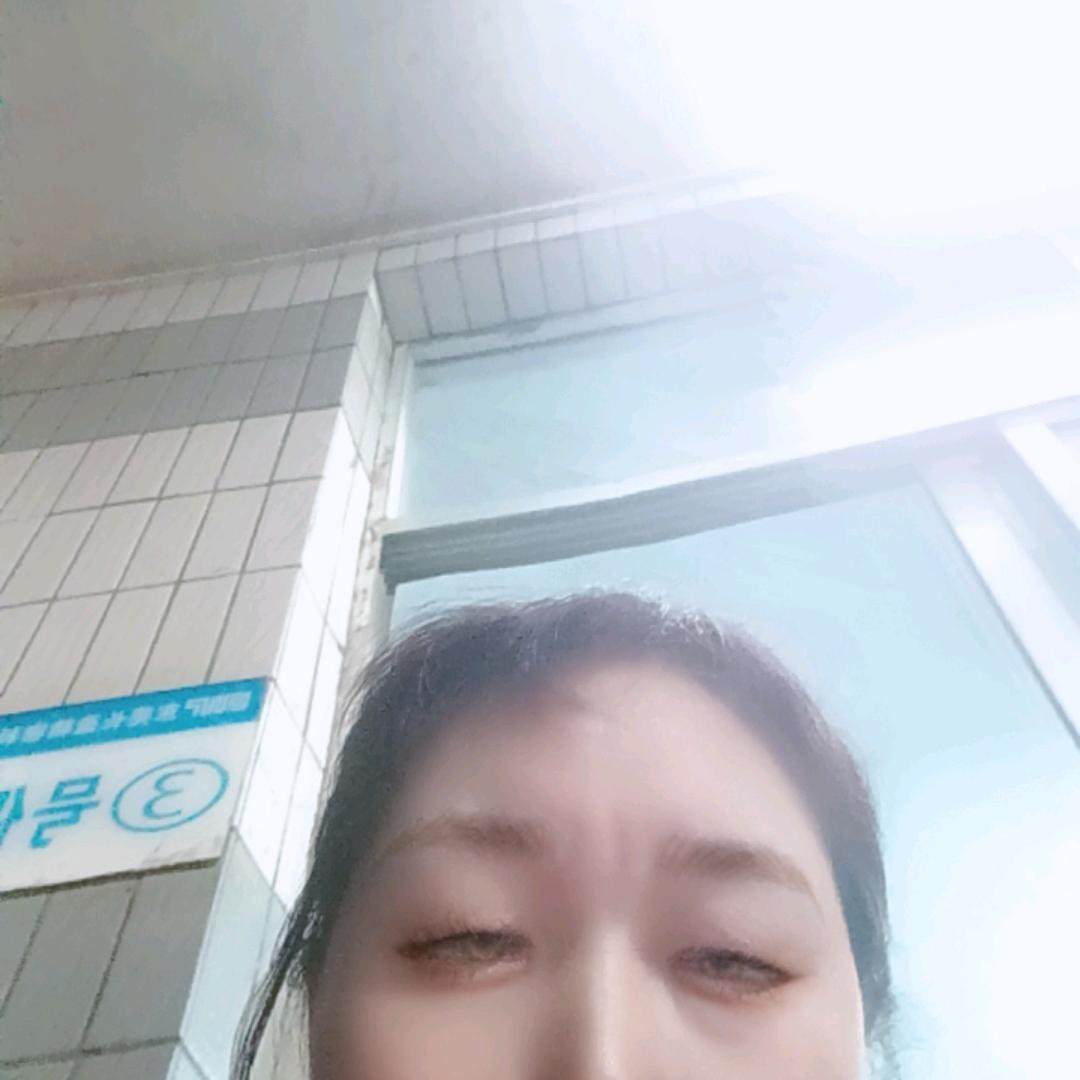 长青树