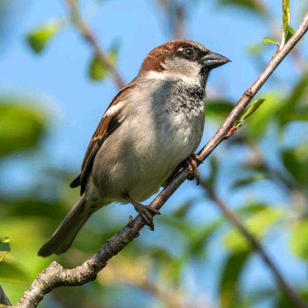 ༒💔繁໊ོﻬ华 ঞ落🥀幕💔༒