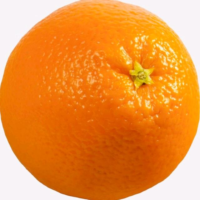 橙子🍊