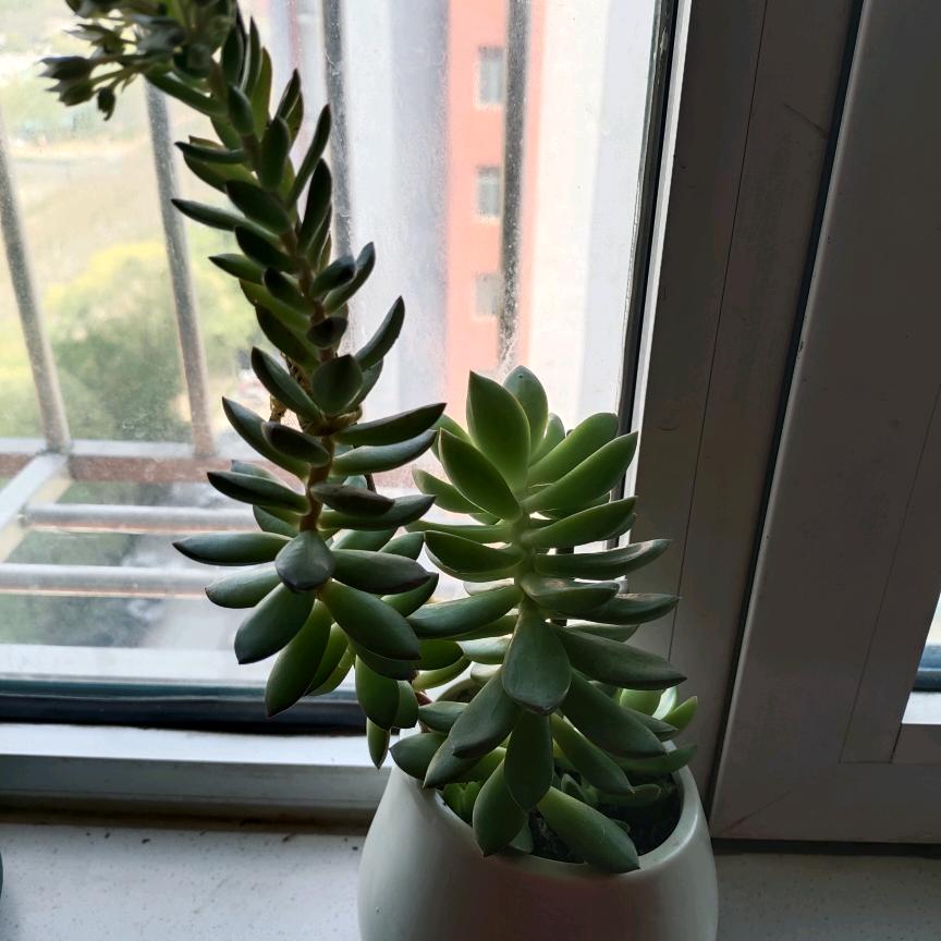 浪漫的云