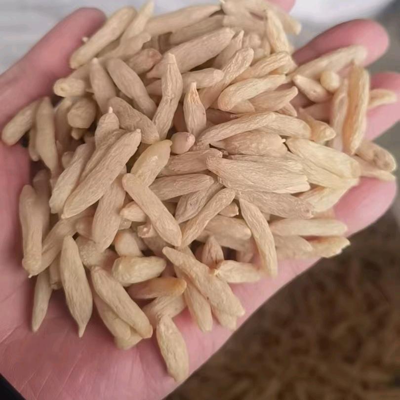 景唐严选正宗川麦冬