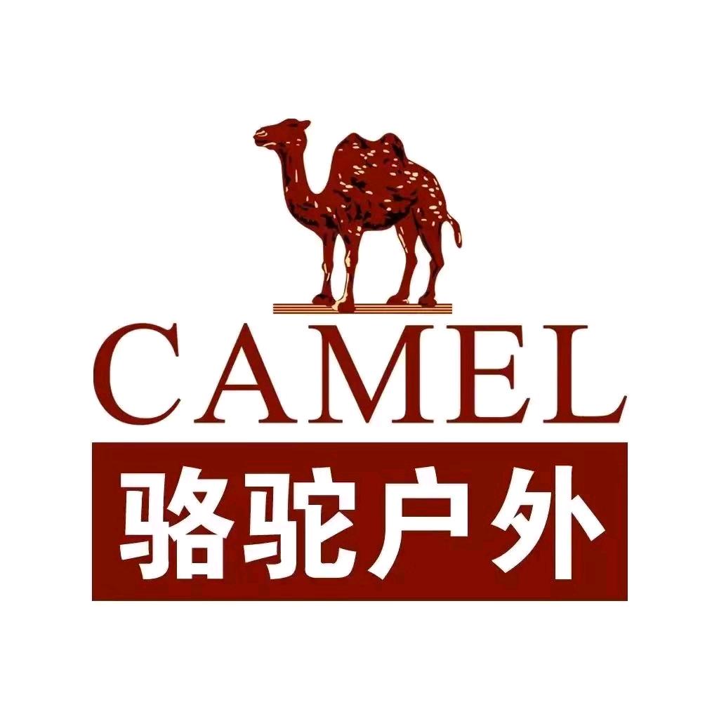 博商五楼骆驼