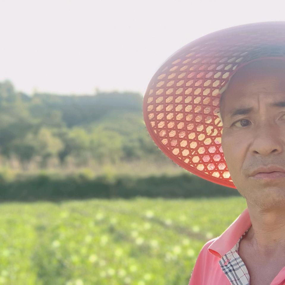 醒来的我是微笑的