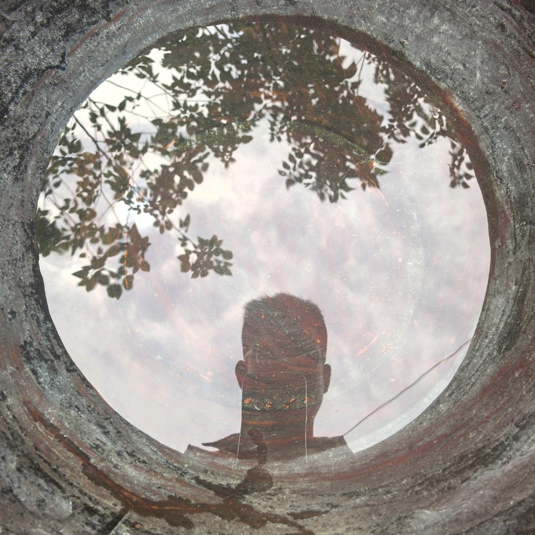 南星李