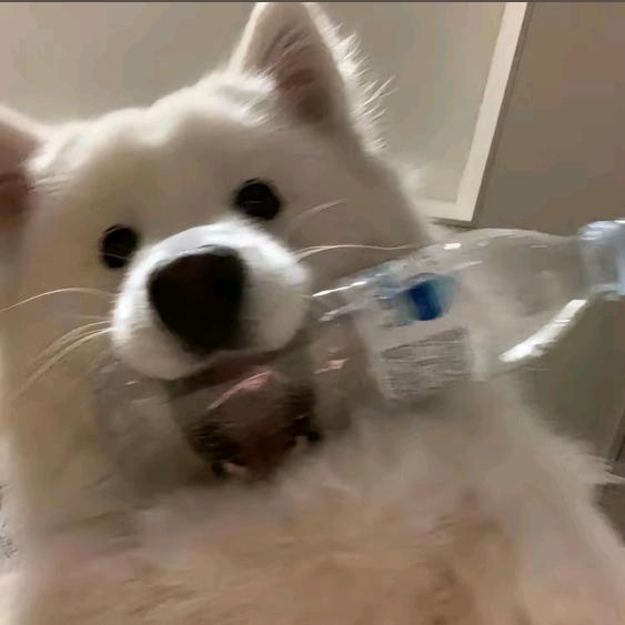 我喜欢吃干脆面