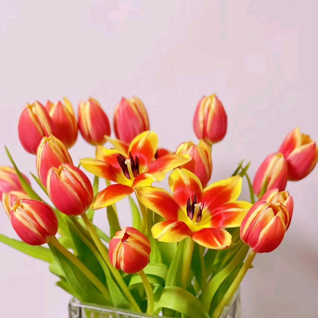 萌新公交爱好者