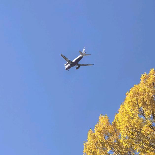 奥格