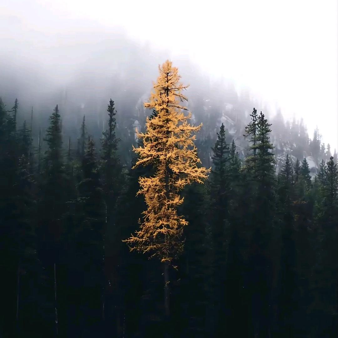 🚬ಇ᭄揽月敬风尘࿐