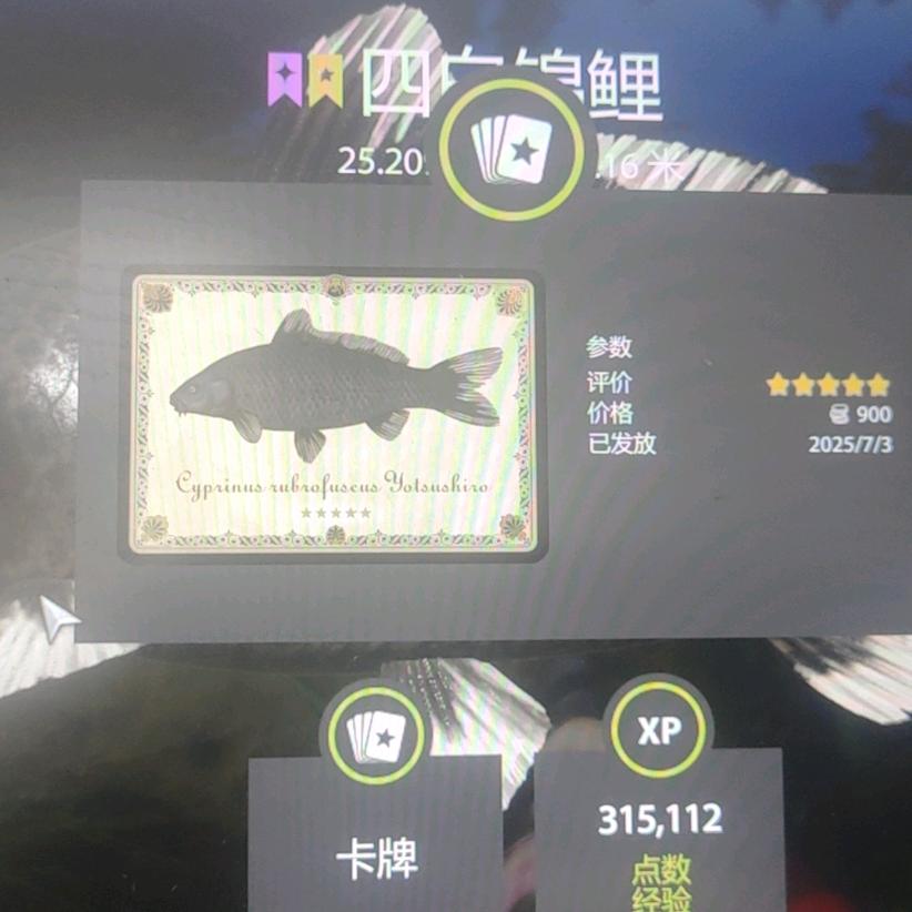 狂