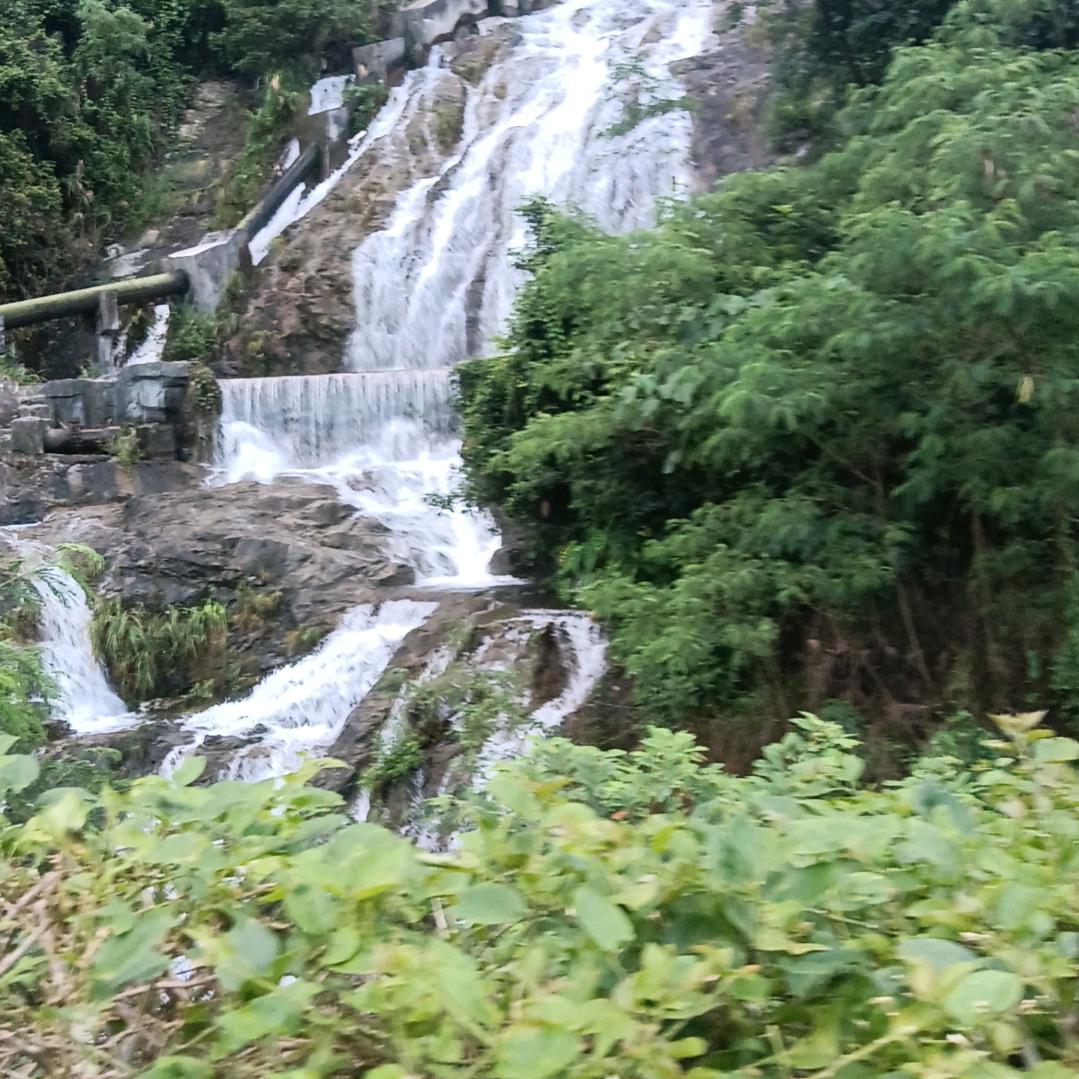 小燕子