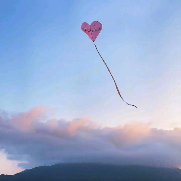 食客零食批发供应店零售店