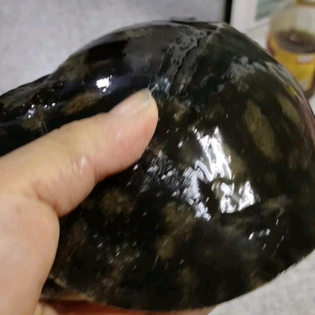 坤仔户外野生甲鱼