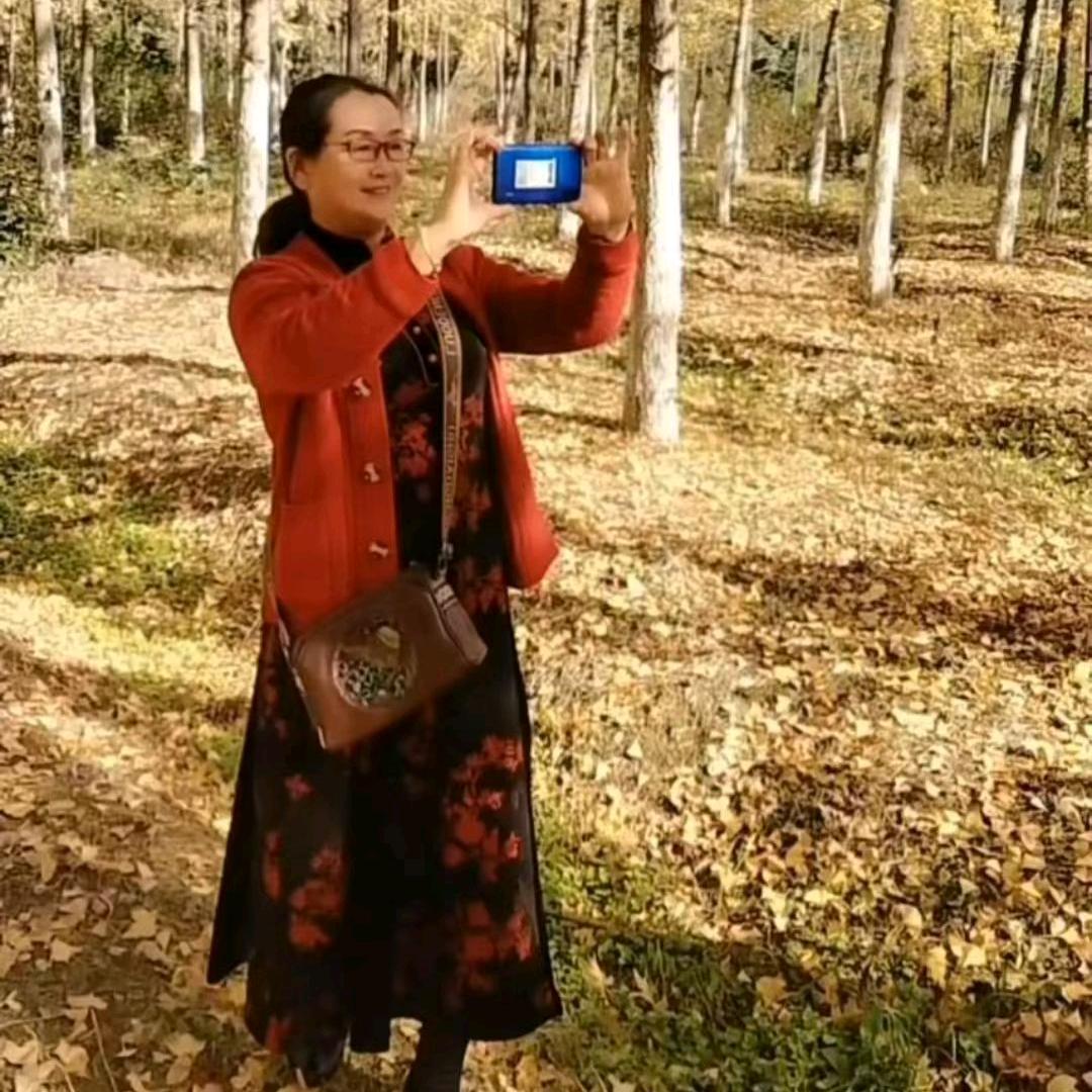 秀丽(62年🐯)