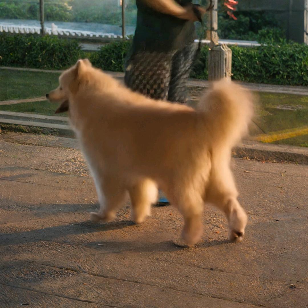 阿伟日用优选