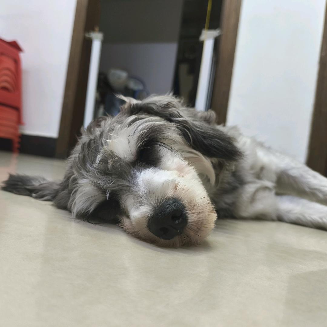 乱来。
