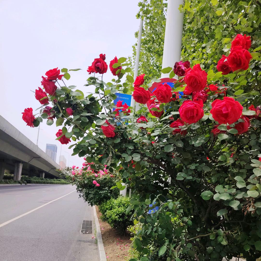 弹个车汽车销售超市