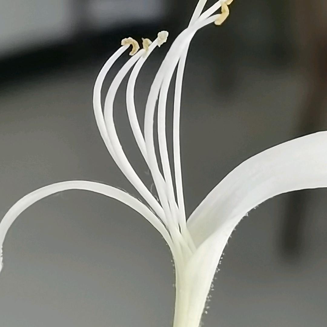 往后余生，好好爱自己（小强团队）