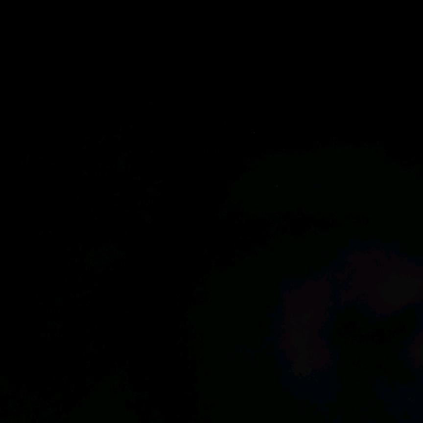 逆流而上✔