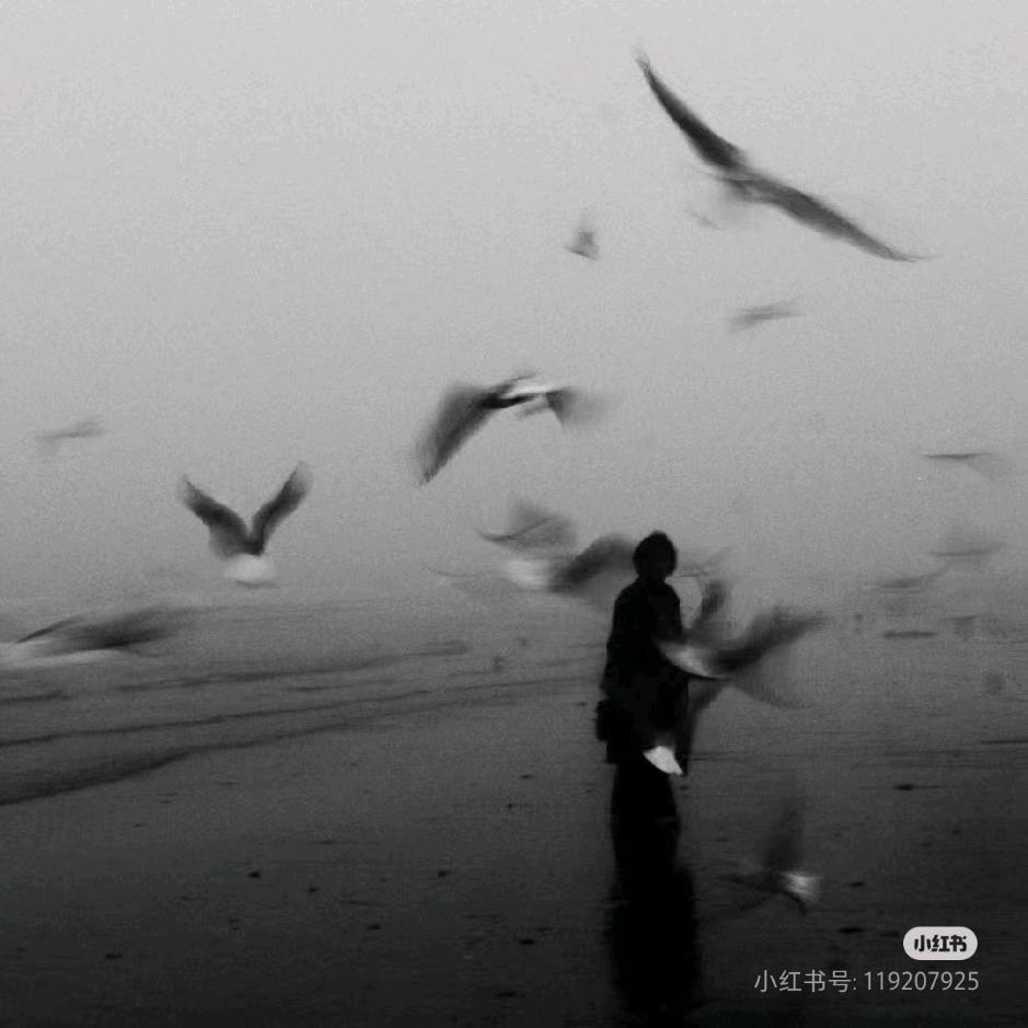 南风知我意ღ