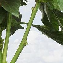 我看某件旅途图片