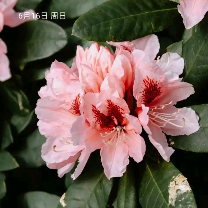 南来北往