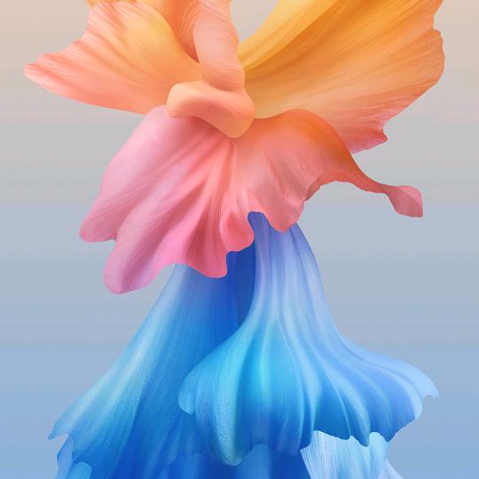 胡长虹