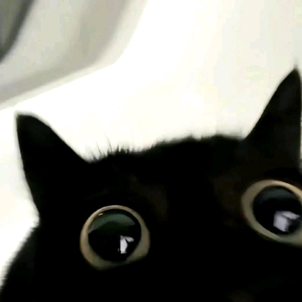 谢⊙ω⊙铁⊙ω⊙铁