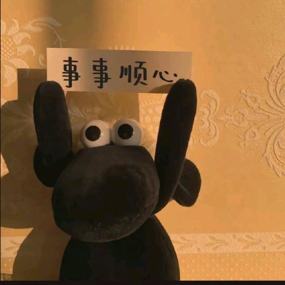 正直青年