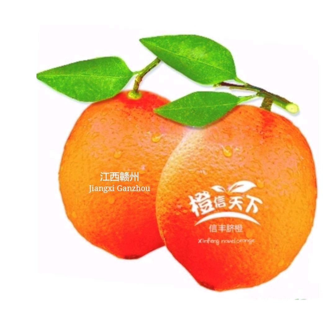 橙信天下