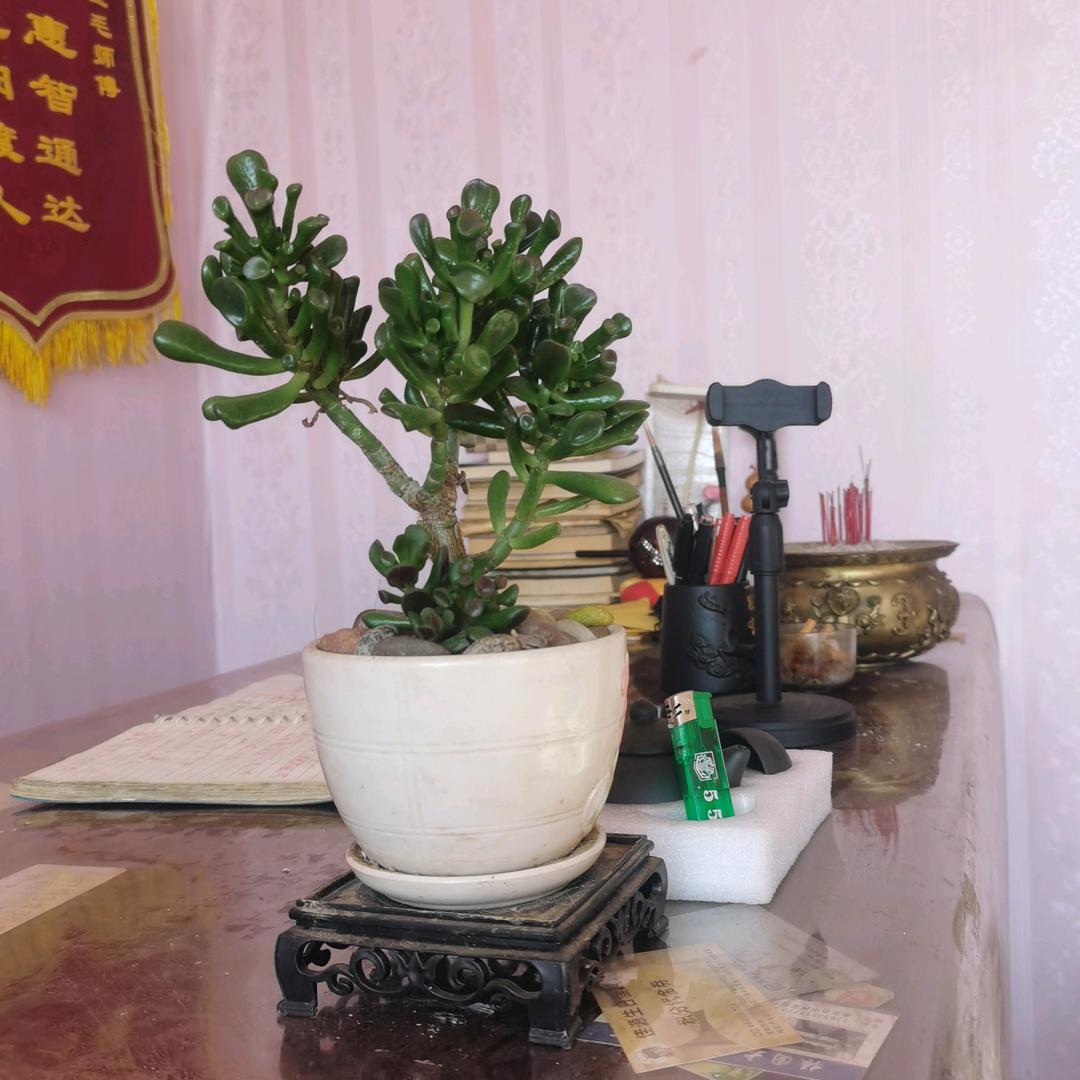 奇妙人声