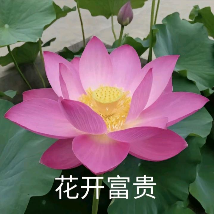 。。。