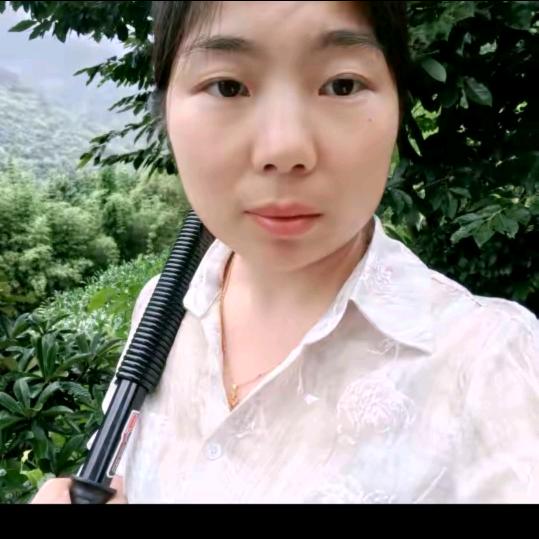 琴姐（不定时首播）