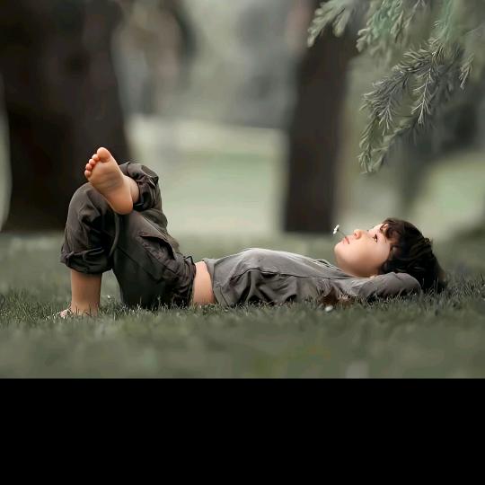 🌈二十四桥明月夜