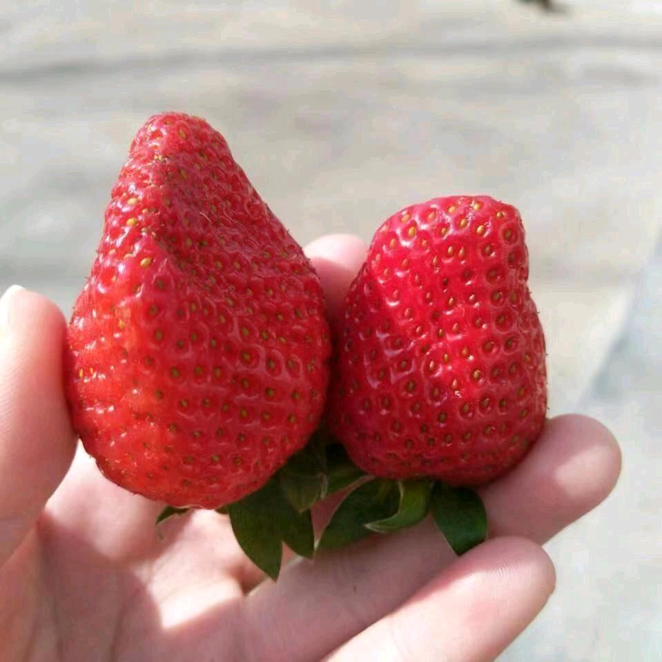 阳光总在风雨后
