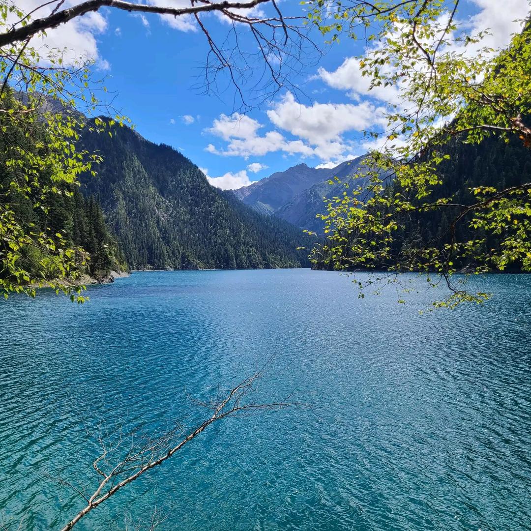 阿悦游记