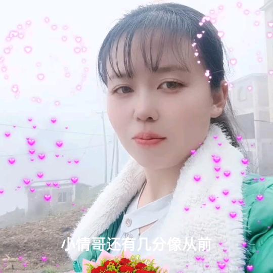 四季平安《杨》