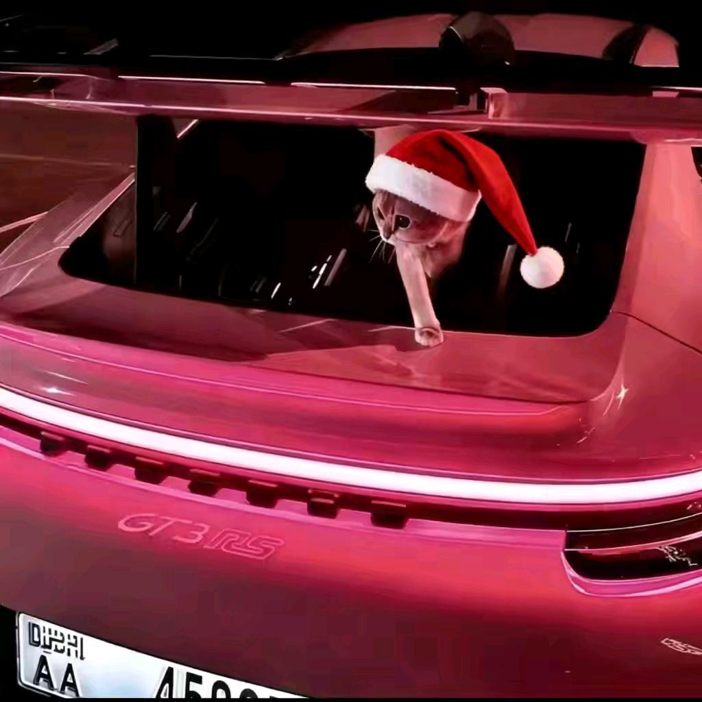 𝓒𝓻𝔂𝓼𝓉𝒶𝓁𝒾𝒸𝑒