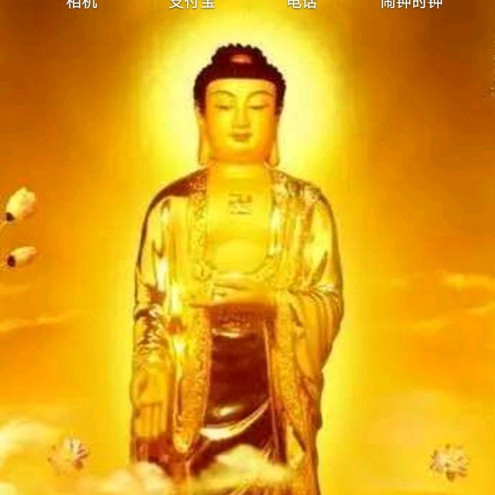 桂味荔枝6元，要的私聊