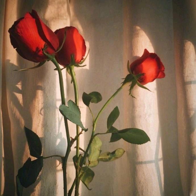 ꦿM 🎈